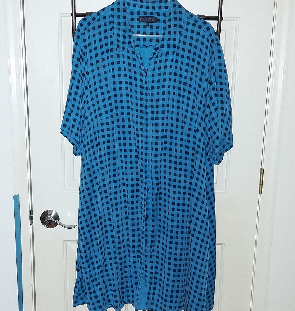 Pauline Gigham Shirt Dress Aidy Bryant's 2019 apparel line, size 22